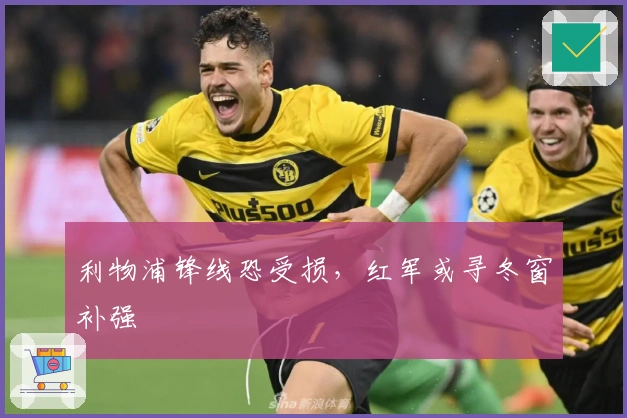 利物浦锋线恐受损，红军或寻冬窗补强