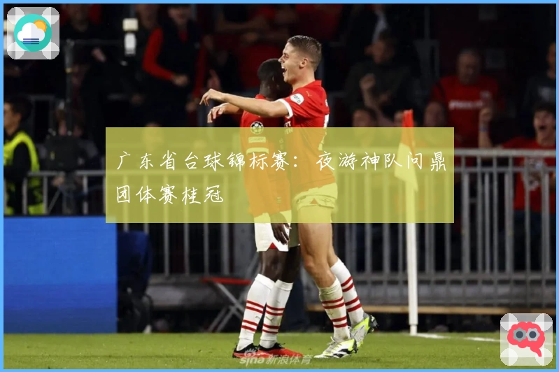 广东省台球锦标赛：夜游神队问鼎团体赛桂冠